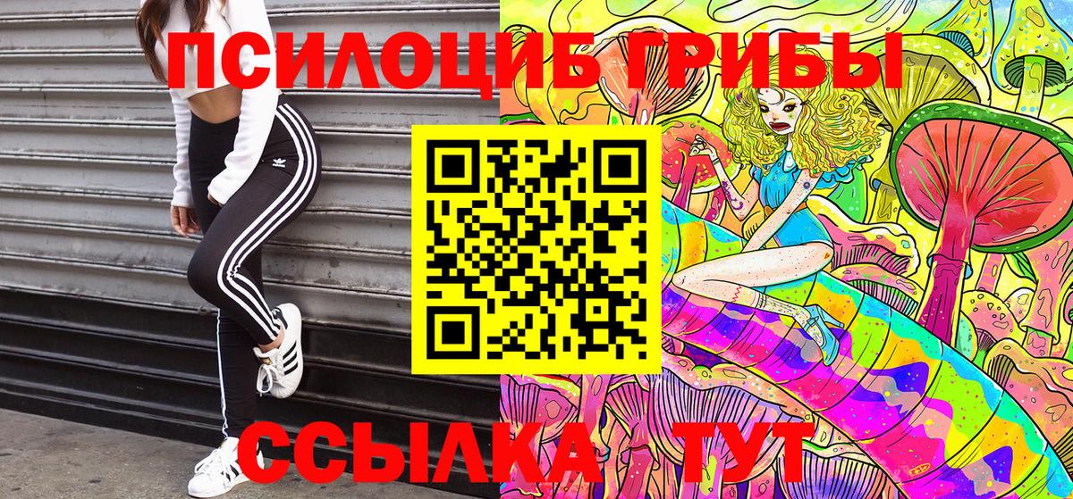 Галлюциногенные грибы мицелий  Вход с VPN  Мегион  Псилоцибиновые грибы прущие грибы 